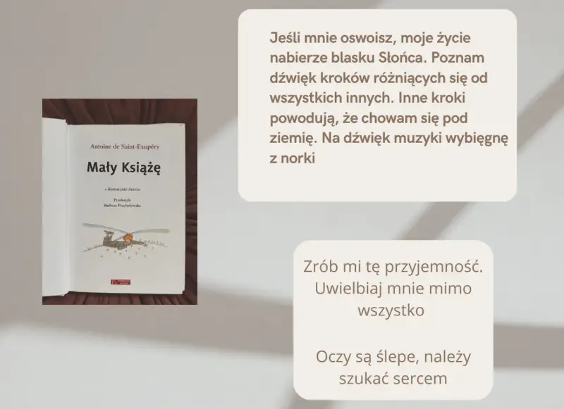 Okładka książki "Mały Książę" z cytatami z powieści.