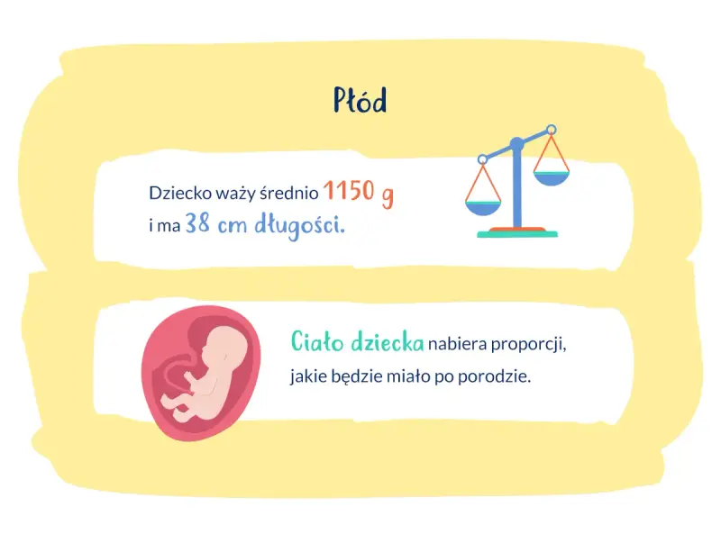 28 tydzień ciąży: płód waży 1150g i ma 38cm. Ciało dziecka nabiera proporcji.