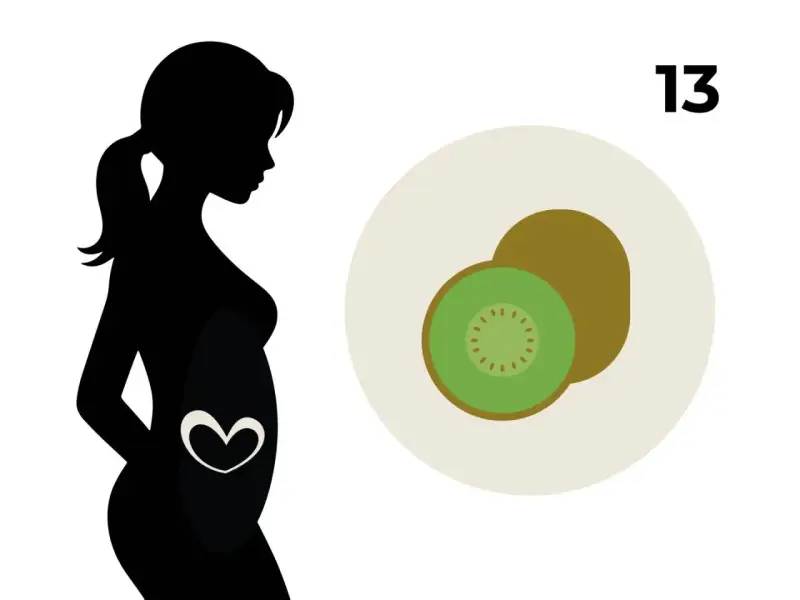Silhouette einer schwangeren Frau mit einem Herzsymbol im Bauch. Daneben ein Kiwi-Obst und die Zahl 13, die 13 ssw. symbolisiert.