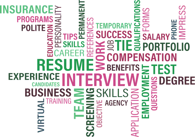 Słowa kluczowe związane z karierą i procesem rekrutacji: RESUME, INTERVIEW, SKILLS, EXPERIENCE, EDUCATION, SUCCESS, PORTFOLIO, SALARY, COMPENSATION, EMPLOYMENT, APPLICATION, TEST, DEGREE, INSURANCE, PROGRAMS, POLITE, TEMPORARY, PERSONALITY, TIPS, REFER...