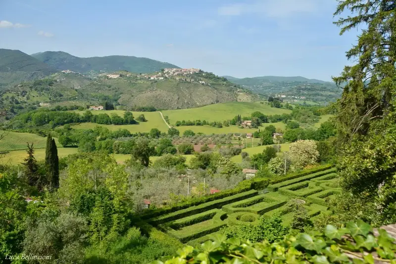 Un labirinto verdeggiante si apre su dolci colline e borghi arroccati nei Monti Sabini, un paesaggio idilliaco sotto un cielo azzurro.