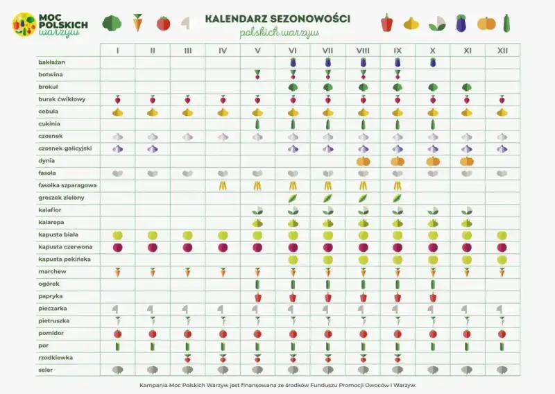 Kalendarz sezonowości polskich warzyw: kiedy siać warzywa, od bakłażana po selera, z ikonami wskazującymi najlepszy czas na sadzenie i zbiory.