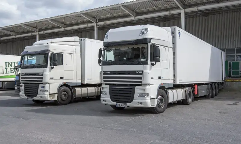 Dwa białe ciągniki siodłowe DAF XF, gotowe do trasy. Posiadanie prawa jazdy kat C+E otwiera drogę do takich pojazdów.