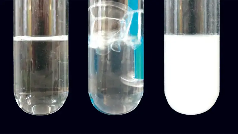 Drei Reagenzgläser zeigen eine klare Flüssigkeit, sprudelnde Flüssigkeit und eine milchige Flüssigkeit. Dies ist eine kalkwasserprobe.