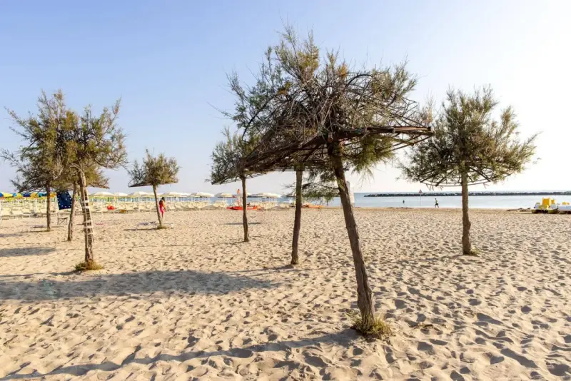 Alberi di tamerici creano ombra sulla spiaggia dorata. In lontananza, lettini e ombrelloni attendono i bagnanti.