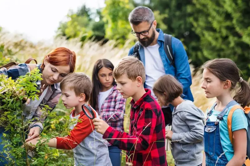 Za co odpowiada wychowawca na kolonii? Bezpieczeństwo i prawo