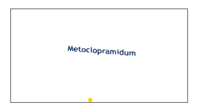 Napis "Metoclopramidum" na białym tle. Symbolizuje lek Metoclopramidum Polpharma.