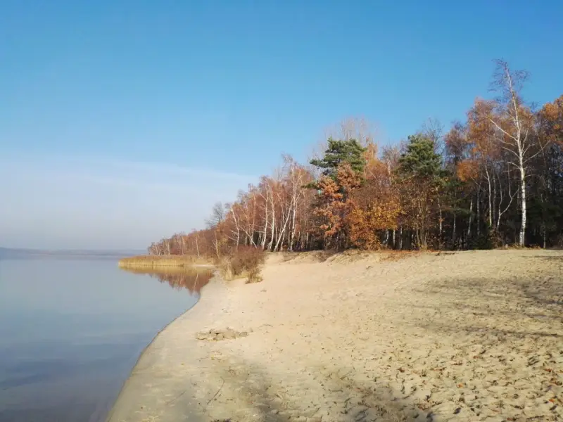 Piękna plaża i las nad jeziorem, idealne na spacer. Odkryj fajne miejsca w okolicach Oświęcimia.