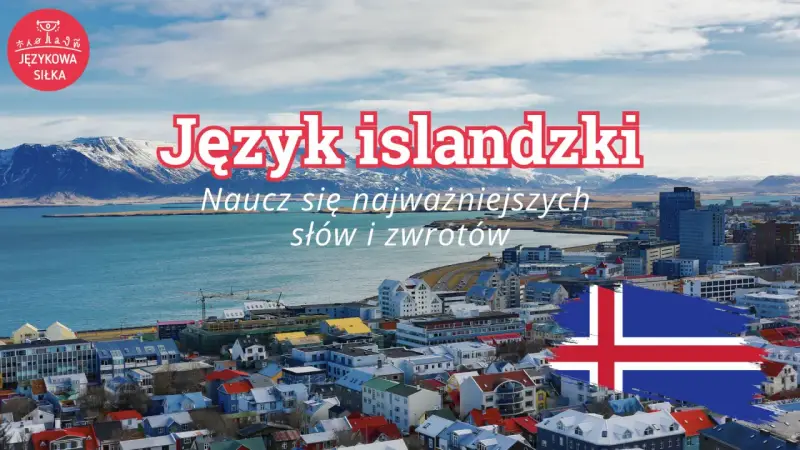 Język islandzki: naucz się najistotniejszych słów i zwrotów, by poczuć się jak mieszkaniec Reykjaviku.