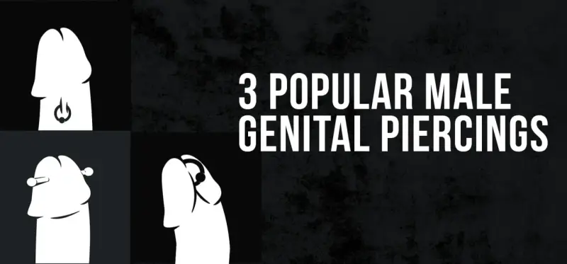 Ilustracje pokazują trzy rodzaje piercingu penisa: pierścień, sztangę i kółko.