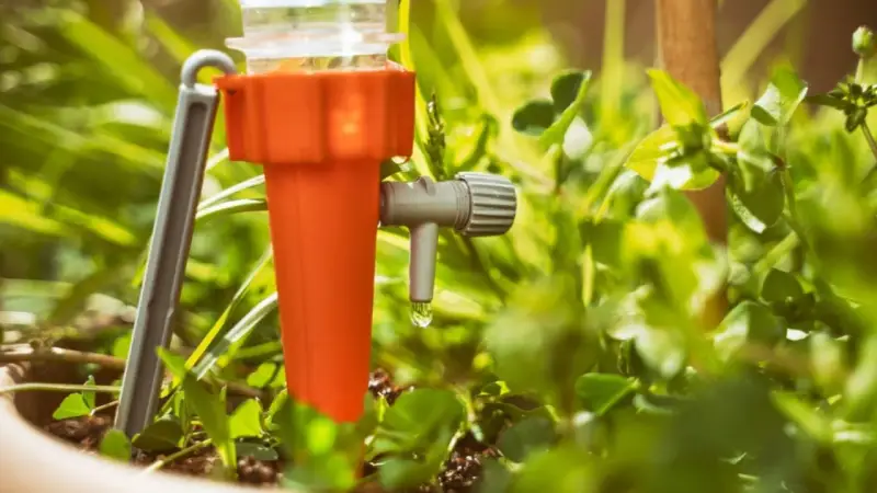 Un système d'arrosage goutte à goutte pour potager, avec une goutte d'eau tombant d'un dispositif orange et gris au milieu de plantes vertes.