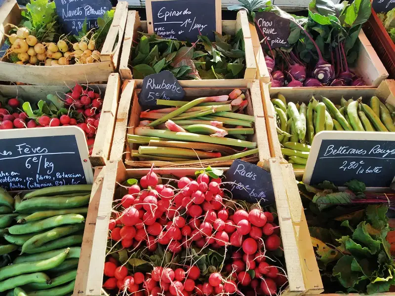 Un étal de marché débordant de légumes frais, offrant un aperçu des spécialités de Bretagne : radis, fèves, rhubarbe, navets, betteraves et choux rave.