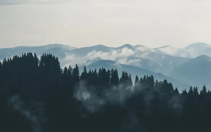Mgliste góry sowie, zalesione zbocza i doliny, tworzą malowniczy krajobraz.