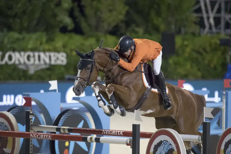 Un cavalier en orange et un cheval brun sautent un obstacle. Le cheval, d'une robe rappelant l'émeraude, semble voler.