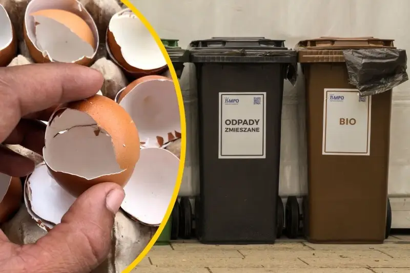 Skorupki jajek w dłoni obok koszy na odpady: zmieszane i bio.