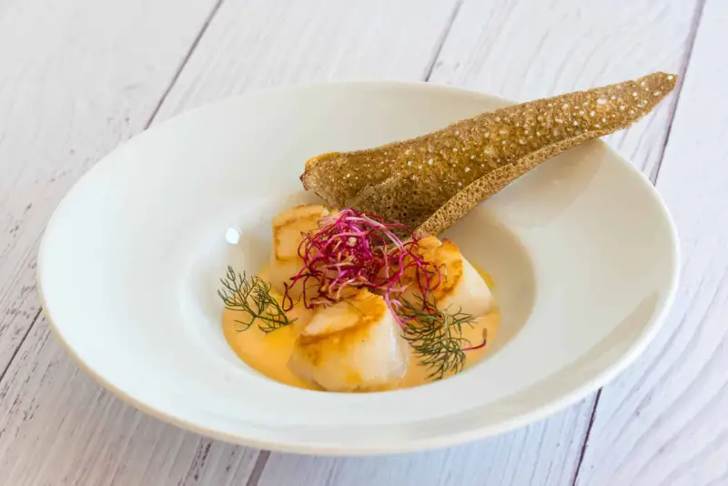 Saint-Jacques poêlées dans une sauce onctueuse, garnies de pousses rouges et d'aneth, accompagnées d'une tuile de sarrasin. Un délice de table à la française.