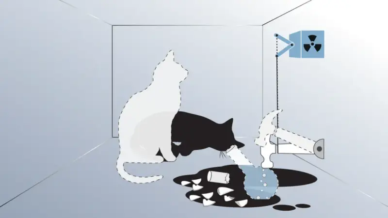 Schrödingers Katze: Ein weißer und ein schwarzer Katzenumriss in einer Box, daneben ein Hammer, ein Behälter mit radioaktivem Symbol und zerbrochenes Glas.