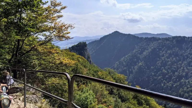 Widok na Pieniny, gdzie można zdobyć Trzy Korony i zobaczyć sokolicę w jeden dzień.