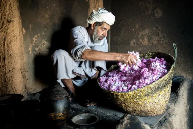 Ein Mann mit Turban und Bart sortiert duftende Blüten in einem Korb. Ein Einblick in die omanische Kultur und traditionelle Handwerkskunst.