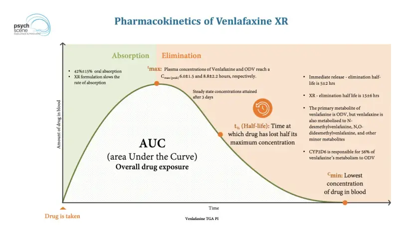Wykres farmakokinetyki **efectin** XR: wchłanianie, eliminacja, AUC, tmax, t½ i Cmin.