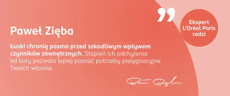 Ekspert L'Oréal Paris radzi: poznaj rodzaje włosów i ich porowatość, by lepiej dobrać pielęgnację. Łuski chronią włosy.