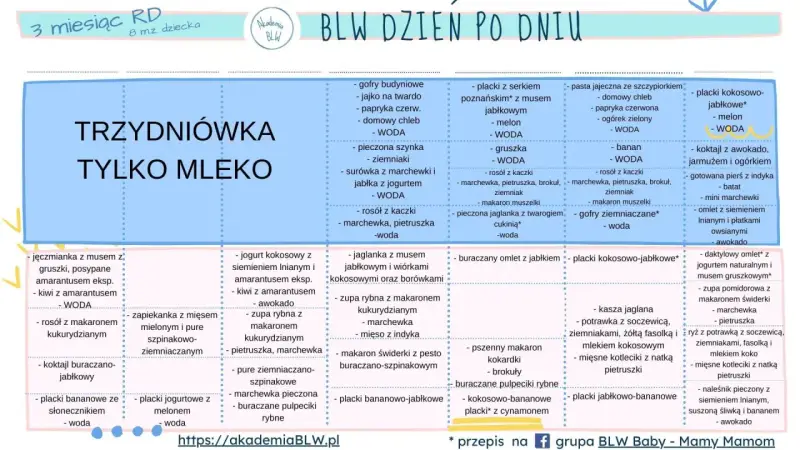 Tabela z propozycjami posiłków dla niemowląt, które stosują metodę BLW. Znajdziesz tu pomysły na śniadania, obiady i kolacje.