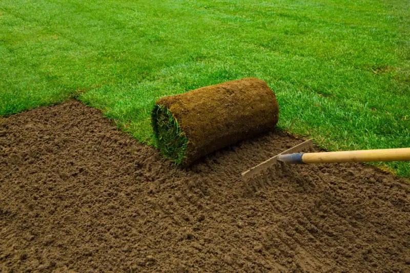 Préparer le sol pour comment refaire sa pelouse. Un rouleau de gazon est prêt à être posé sur la terre fraîchement ratissée.