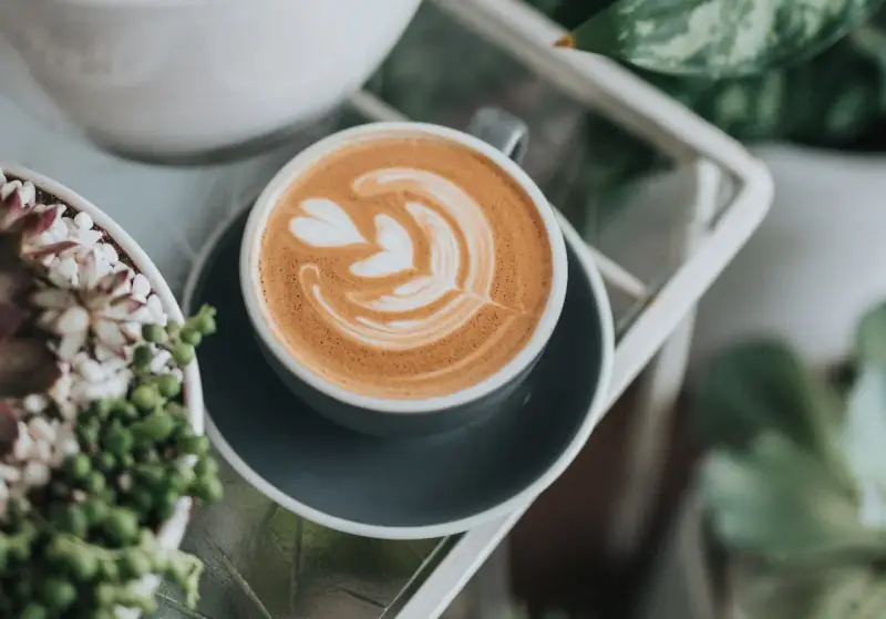 Perfekte Cappuccino Zubereitung mit Latte Art. Ein Kunstwerk aus Milchschaum auf Kaffee, neben grünen Pflanzen.
