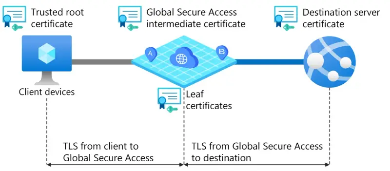 Schemat wyjaśnia, jak działa TLS: od urządzeń klienckich przez Global Secure Access do serwera docelowego, z użyciem certyfikatów.