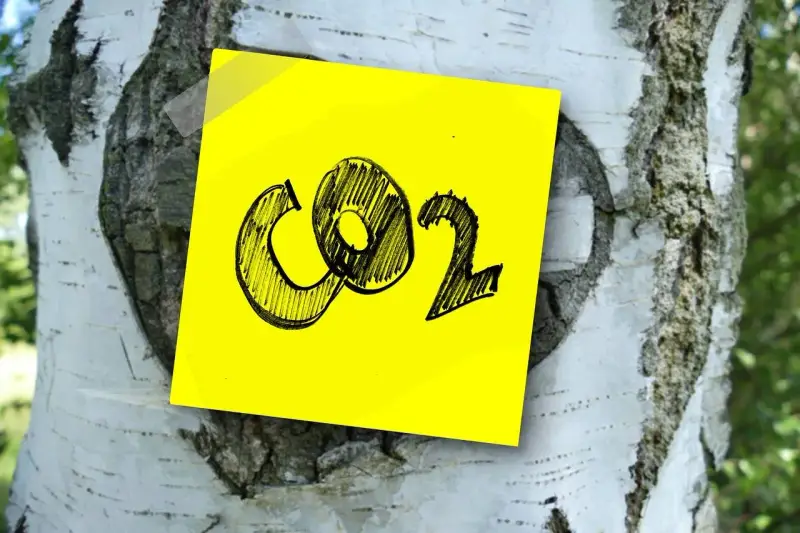 Żółta kartka z napisem CO2 przyklejona do kory brzozy. Symbolizuje wpływ emisji na zmiany klimatyczne.