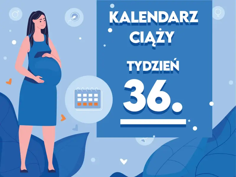 Kobieta w 36. tygodniu ciąży, z brzuszkiem i kalendarzem. Czas na przygotowania do porodu!