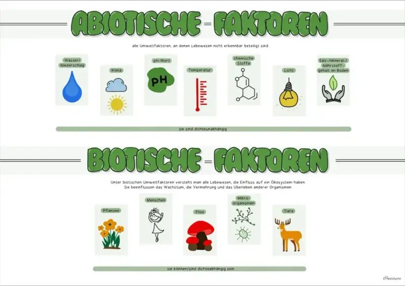 Biotische Faktoren sind Lebewesen wie Pflanzen, Menschen, Pilze, Mikroorganismen und Tiere, die das Ökosystem beeinflussen.