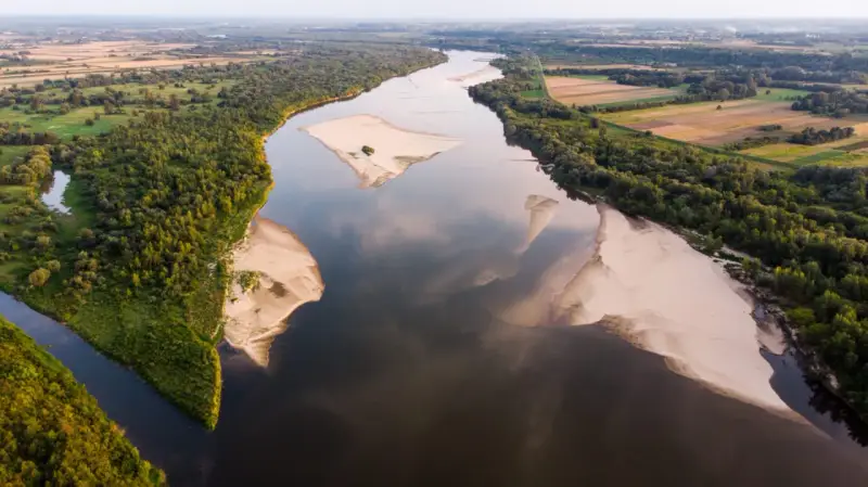 Szeroka Wisła, najdłuższa rzeka w Polsce, meandruje wśród zielonych lasów i piaszczystych łach.