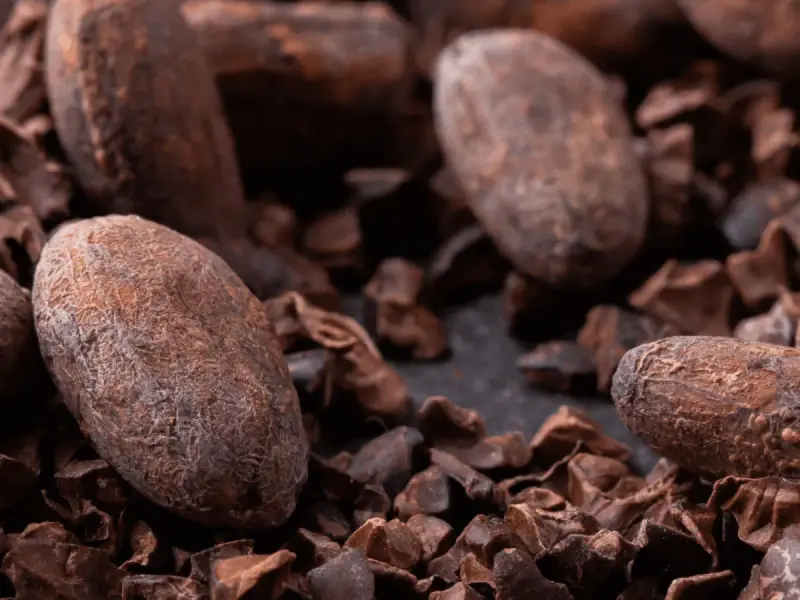 Gros plan sur des fèves de cacao et des éclats de cacao, rappelant les nombreux cacao bienfaits pour la santé.