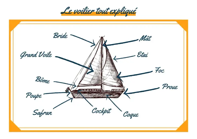 Illustration d'un voilier avec différentes parties d'un bateau étiquetées : mât, grand voile, foc, proue, poupe, safran, cockpit, coque, bôme, étai, bride.