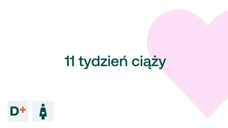 11 tydzień ciąży. D+ logo i symbol kobiety w ciąży na tle różowego serca.