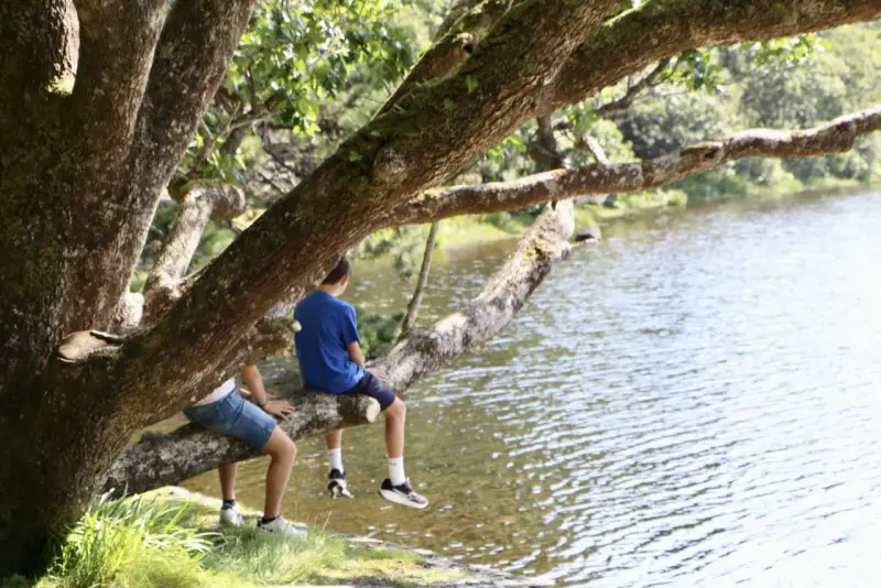 Dos niños disfrutan de un día soleado en Irlanda, sentados en una rama de árbol junto a un lago.