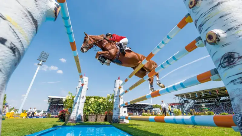Un magnifique cheval de course brun saute par-dessus un obstacle coloré, sous un ciel bleu clair, lors d'une compétition équestre devant une foule attentive.