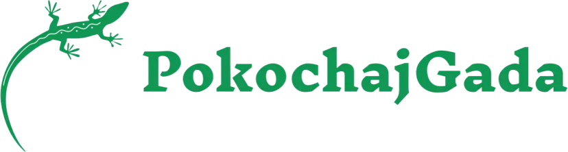 Logo pokochajgada.pl