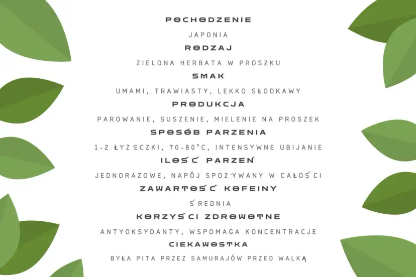 Matcha: Jak wymówić poprawnie? Właściwości i parzenie