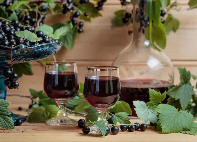 Dwa kieliszki ciemnego likieru, jakby z samego Chambord, otoczone świeżymi czarnymi porzeczkami i liśćmi.