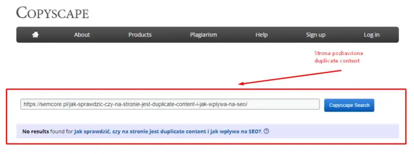 Duplicate content: Jak wykryć i wyeliminować? Pełen poradnik.