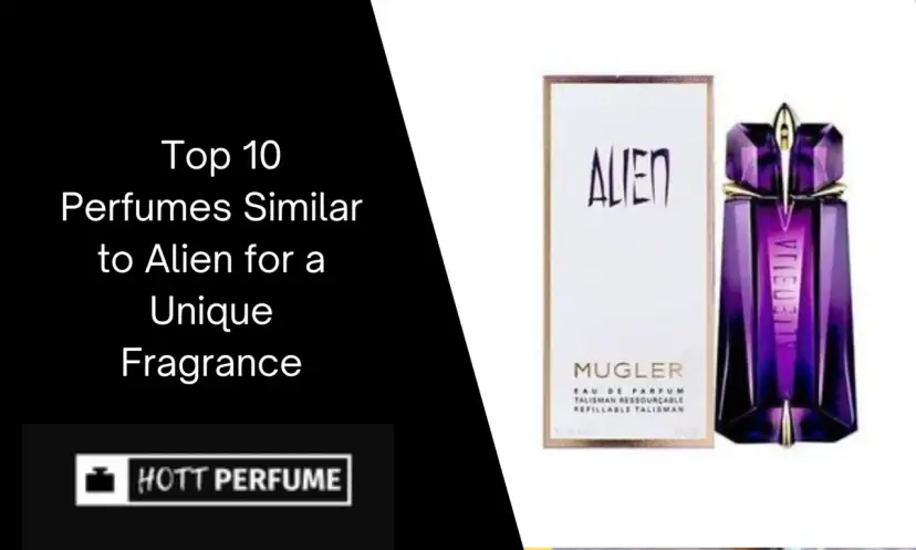 Alien Duftalternativen finden: Die besten Dupes & ähnliche Düfte