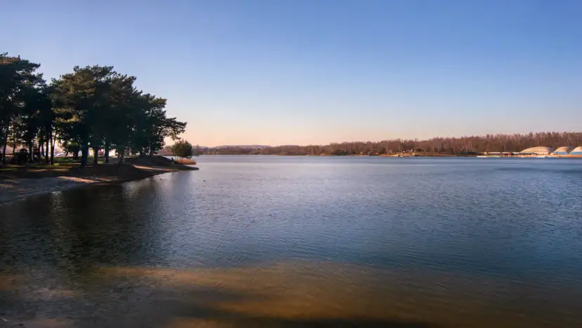 Spokojne jeziora w Małopolsce o zachodzie słońca. Drzewa na brzegu rzucają długie cienie na piaszczystą plażę.