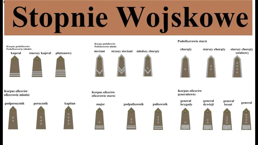 Podporucznik po studiach: Twoja ścieżka kariery oficerskiej