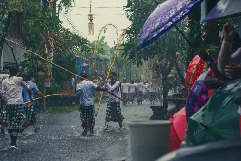 Deszczowa procesja na Bali, kiedy jest sezon na bali. Mężczyźni w tradycyjnych strojach niosą drewniane tyczki, a widzowie chronią się pod kolorowymi parasolami.