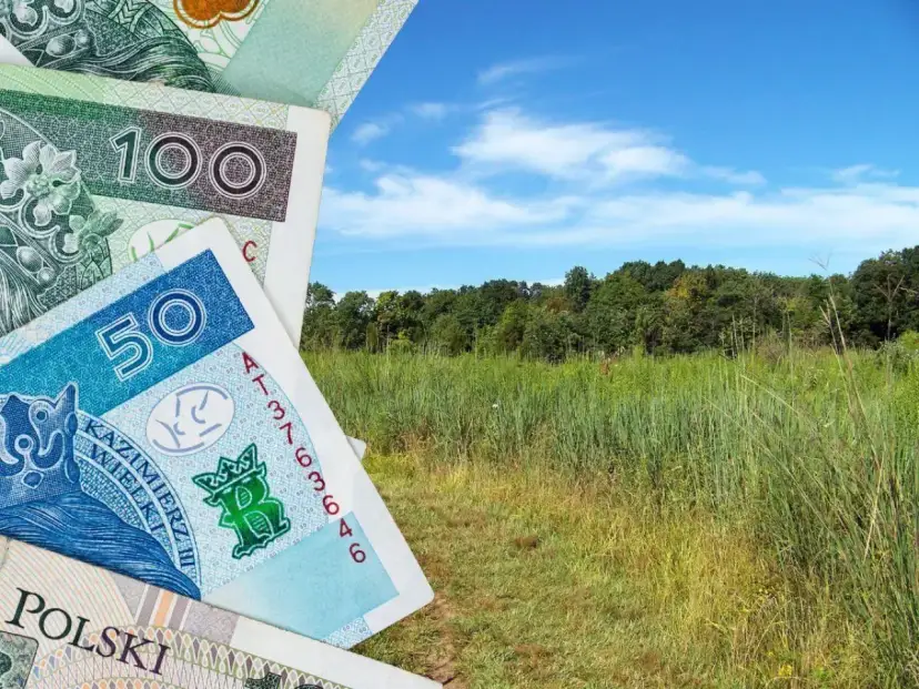 Polskie banknoty 50 i 100 zł na tle zielonej łąki i lasu. Zastanawiasz się, ile kosztuje 1 ha łąki?