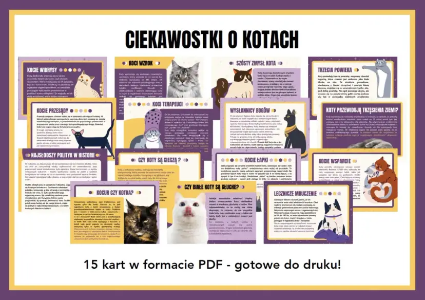 Ciekawostki o kotach dla dzieci: koty mają trzecią powiekę, a białe koty z niebieskimi oczami mogą być głuche.