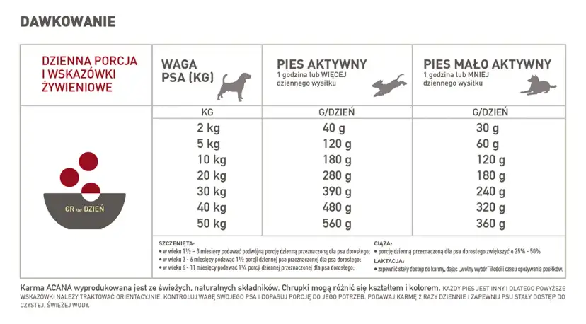 Ile mokrej karmy dla psa tabela - uniknij błędów w karmieniu psa