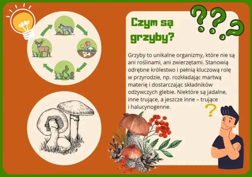 Ilustracja edukacyjna o grzybach dla przedszkola. Pokazuje cykl życia grzybów i ich znaczenie w przyrodzie.
